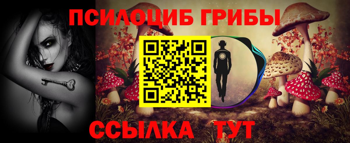 Галлюциногенные грибы GOLDEN TEACHER Свободный